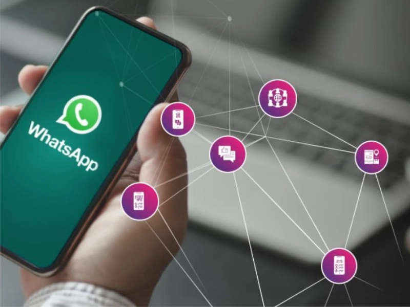 7 کاربرد برتر پیام‌های انبوه واتس‌اپ در تعامل با مشتری